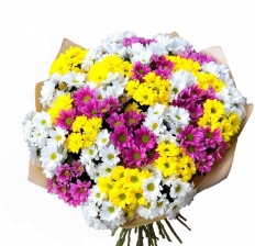 БУКЕТ ИЗ 27 ХРИЗАНТЕМ