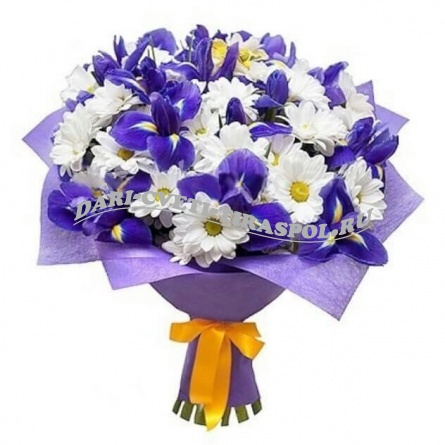 БУКЕТ ИЗ ХРИЗАНТЕМ И ИРИСОВ МАГИЯ фото 1